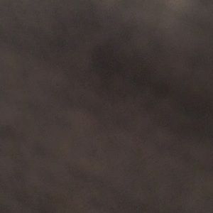 Meet your Posher, Damien